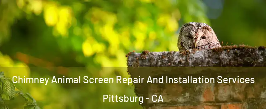  Chimney Animal Screen Repair And Installation Services Pittsburg - CA