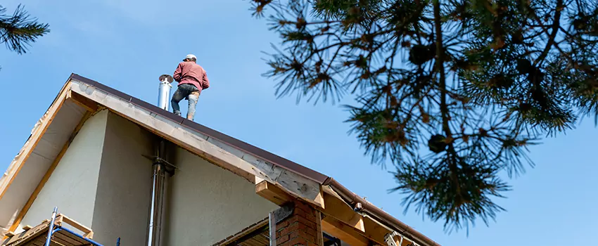 Birds Removal Contractors from Chimney in Pittsburg, CA