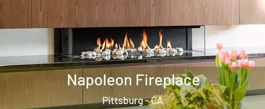  Napoleon Fireplace Pittsburg - CA